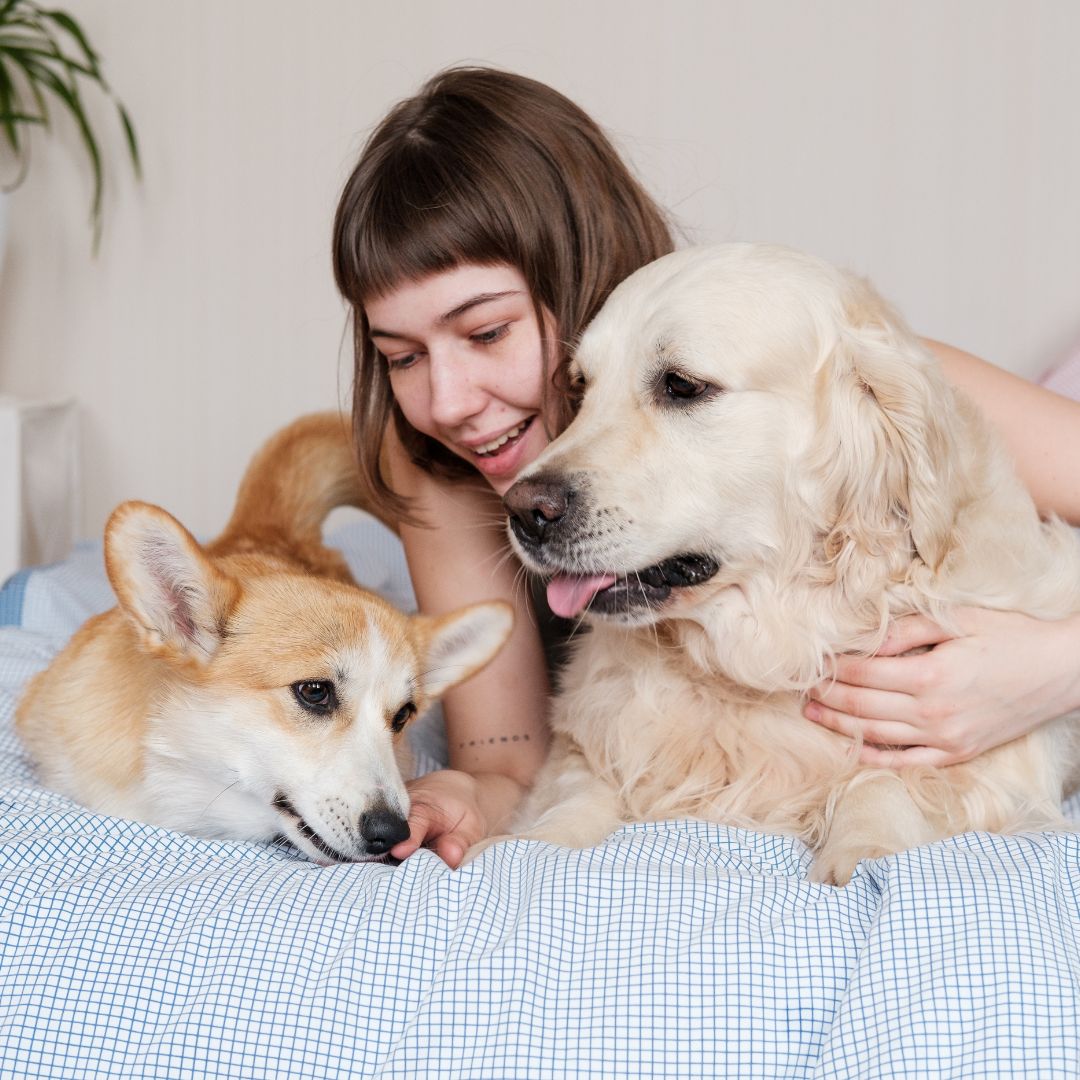 woman lying on bed with dogs