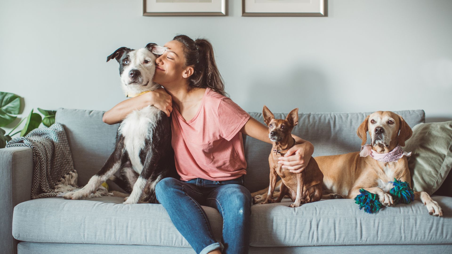 woman with pets sitting on couch