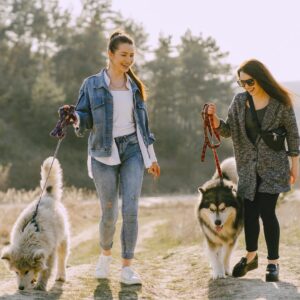 friends walking their dogs